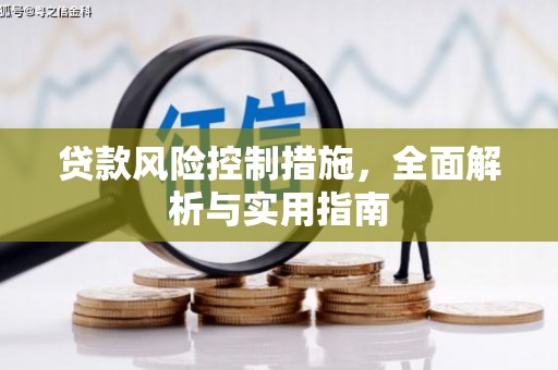 琅琊贷款风险控制措施，全面解析与实用指南