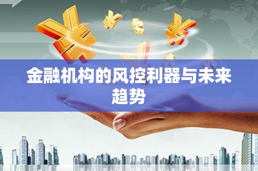 琅琊金融机构的风控利器与未来趋势