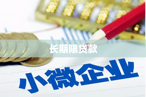 琅琊长期限贷款