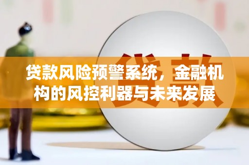 琅琊贷款风险预警系统，金融机构的风控利器与未来发展