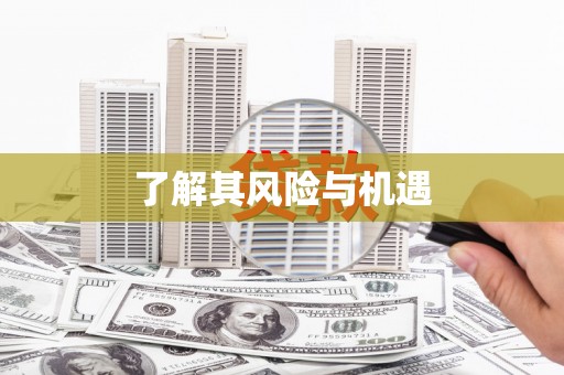 琅琊了解其风险与机遇