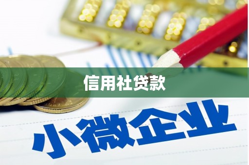 琅琊信用社贷款