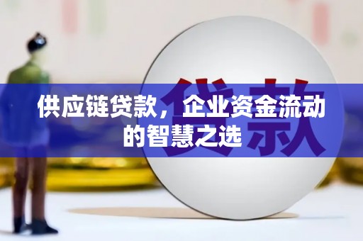 琅琊供应链贷款，企业资金流动的智慧之选