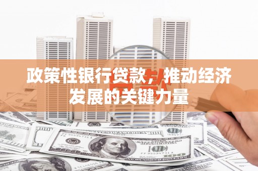 琅琊政策性银行贷款，推动经济发展的关键力量