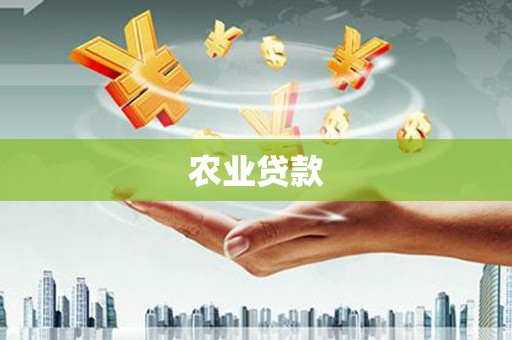 琅琊农业贷款