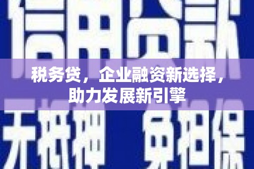 琅琊税务贷，企业融资新选择，助力发展新引擎