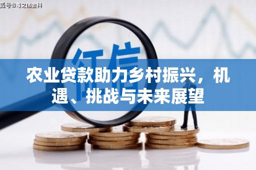 琅琊农业贷款助力乡村振兴，机遇、挑战与未来展望