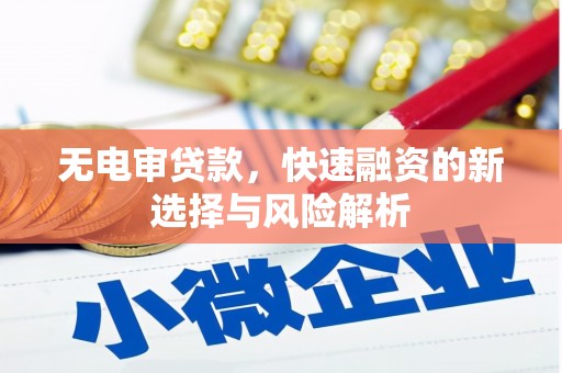琅琊无电审贷款，快速融资的新选择与风险解析