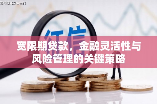 琅琊宽限期贷款，金融灵活性与风险管理的关键策略