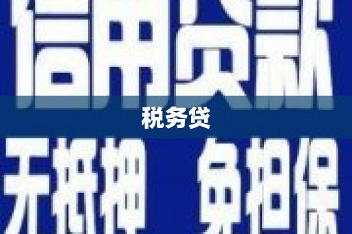 琅琊税务贷