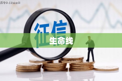 琅琊生命线