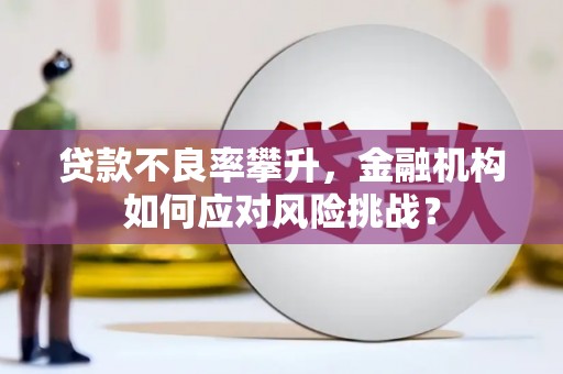 琅琊贷款不良率攀升，金融机构如何应对风险挑战？