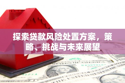 琅琊探索贷款风险处置方案，策略、挑战与未来展望