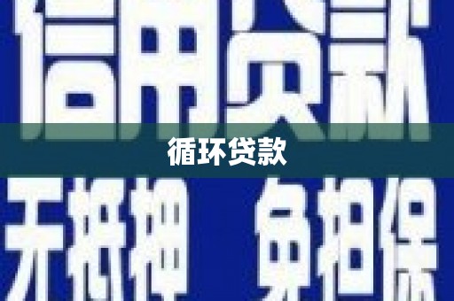 琅琊循环贷款