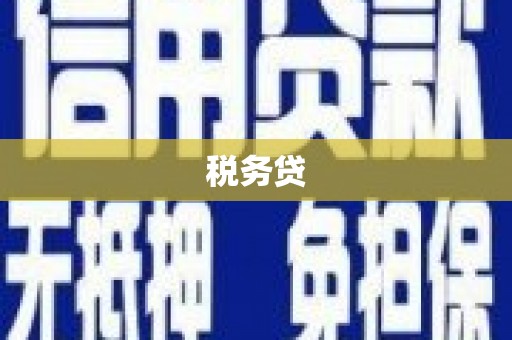 琅琊税务贷