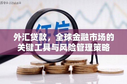 琅琊外汇贷款，全球金融市场的关键工具与风险管理策略