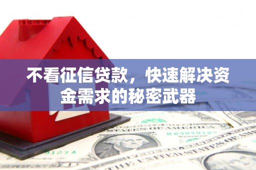 琅琊不看征信贷款，快速解决资金需求的秘密武器