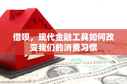 琅琊借呗，现代金融工具如何改变我们的消费习惯