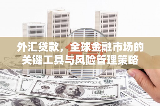 琅琊外汇贷款，全球金融市场的关键工具与风险管理策略