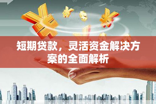 琅琊短期贷款，灵活资金解决方案的全面解析