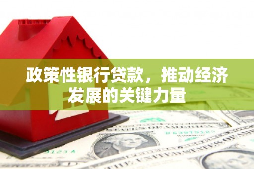 琅琊政策性银行贷款，推动经济发展的关键力量