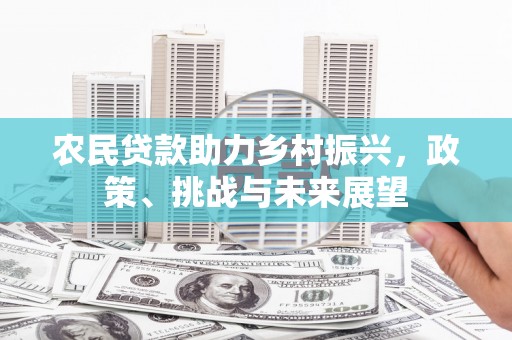 琅琊农民贷款助力乡村振兴，政策、挑战与未来展望