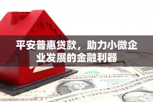 琅琊平安普惠贷款，助力小微企业发展的金融利器