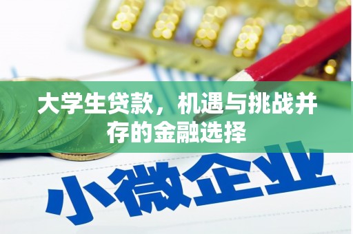 琅琊大学生贷款，机遇与挑战并存的金融选择