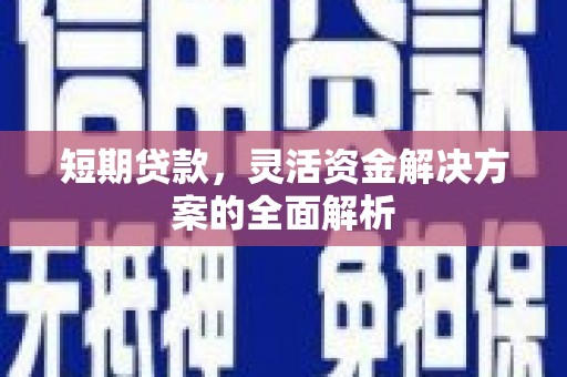 琅琊短期贷款，灵活资金解决方案的全面解析