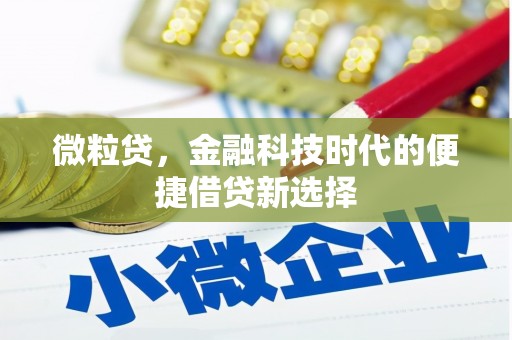 琅琊微粒贷，金融科技时代的便捷借贷新选择