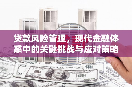 琅琊贷款风险管理，现代金融体系中的关键挑战与应对策略