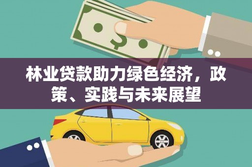 琅琊林业贷款助力绿色经济，政策、实践与未来展望