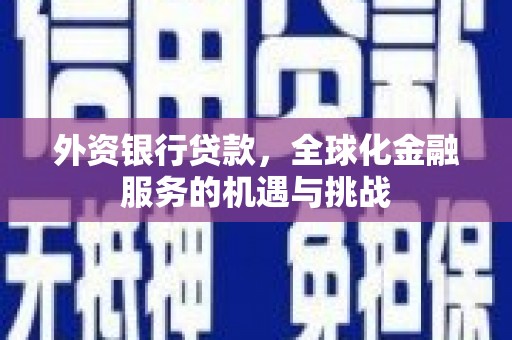 琅琊外资银行贷款，全球化金融服务的机遇与挑战