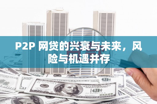琅琊P2P 网贷的兴衰与未来，风险与机遇并存