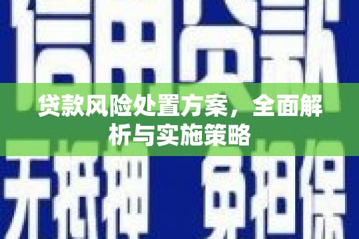 琅琊贷款风险处置方案，全面解析与实施策略